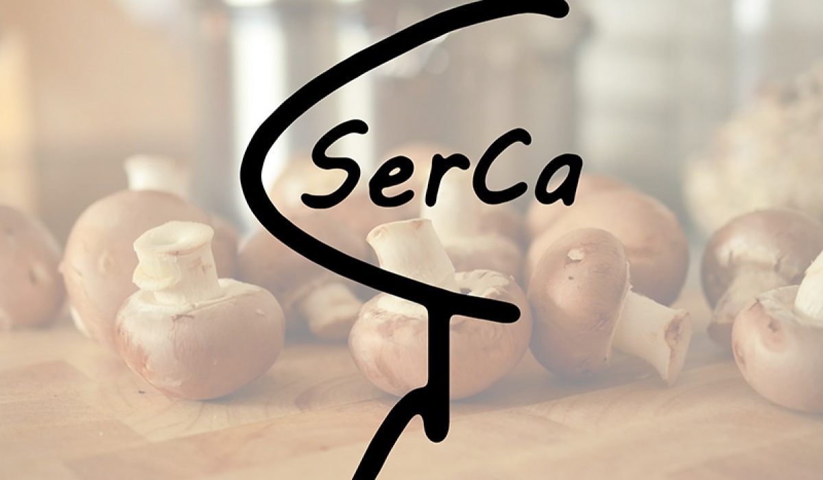 sercafoto